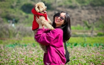 Chi tiền triệu nuôi thú cưng: Người yêu chưa có, nhưng chó, mèo phải có một con