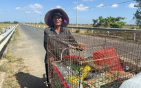 Cụ ông nhặt ve chai nuôi cả gia đình bệnh tật