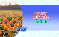 Hiệu quả bất ngờ khi ăn bí