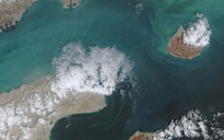 Loạt nước sẵn sàng tham gia bảo vệ tuyến hàng hải Hormuz