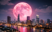 Tối nay rằm tháng 2 trăng hồng sáng rực bầu trời Việt, cạnh chòm sao Xử Nữ