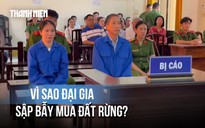 Các đại gia sập bẫy lừa mua đất rừng của cựu Trưởng công an Phú Quốc như thế nào?