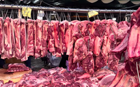 Giá heo hơi hôm nay 22.4.2026: Bình ổn trước kỳ nghỉ lễ