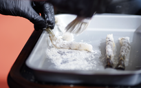 Xây nhà máy bột chiên 21 triệu USD tại TP.HCM