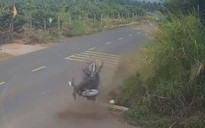 Vụ nam sinh lớp 12 tử vong ở Đắk Lắk: Đình chỉ cán bộ CSGT