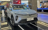 Xe gia đình cỡ nhỏ: VinFast Limo Green áp đảo, doanh số gấp đôi nhóm xe xăng