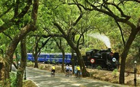 Tuyến tàu di sản Jiji: chuyến du hành xuyên 'Công viên kỷ Jura' giữa đời thực