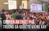 Thành Hóa: Đột kích 'trường gà' xuyên quốc gia
