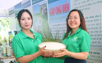 Lần đầu tiên tổ chức cuộc thi gạo ngon Đồng bằng sông Cửu Long