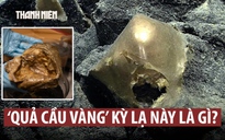 Hé mở bí ẩn ‘trứng vàng’ dưới đáy đại dương