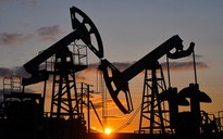 Giá xăng dầu hôm nay 4.4.2026: Chi quỹ bình ổn cho mặt hàng dầu diesel