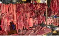 Giá heo hơi hôm nay 6.4.2026: Tăng nhẹ vài nơi 