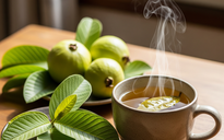 Uống nước lá ổi hạ đường huyết: Hiệu quả đến đâu?