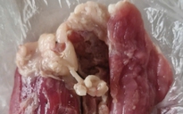 Công an điều tra nguồn gốc thịt lợn bệnh trong bếp ăn Trường mầm non Hòa Bình