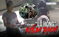 Vén màn 'lỗ hổng' kiểm dịch: Cán bộ thú y bỏ chốt, thương lái tự đóng dấu