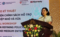 Góp ý cho dự thảo luật Hỗ trợ doanh nghiệp nhỏ và vừa