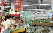 Báo Thanh Niên tổ chức Hội thảo 'Khơi thông sức mua, kích cầu tiêu dùng'