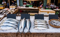 Bác sĩ gợi ý những loại cá giàu omega-3 cho người lớn tuổi