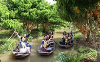 Nông dân làm du lịch từ vườn cây ăn trái, mỗi ngày đón hàng trăm khách