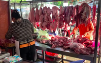 Giá heo hơi hôm nay 25.5.2026: Chững lại sau biến động