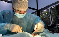 Cô gái TP.HCM bỏ phố lên rừng, từng bám vách đá tái thả động vật hoang dã