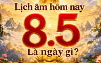 Ngày Thalassemia thế giới 8.5 là ngày gì? Theo lịch âm hôm nay có gì đặc biệt?
