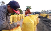 Giá gạo Việt Nam tăng mạnh, Philippines lại tìm cách hạn chế nhập