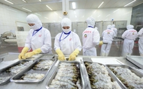 Xuất khẩu thủy sản có thể đạt kim ngạch 12 tỉ USD trong năm nay
