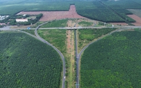 Thành phố Đồng Nai thu hồi 4.300 ha đất cao su cho các dự án trọng điểm
