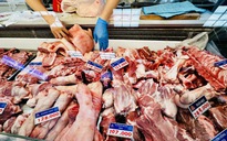 Giá heo hơi hôm nay 9.5.2026: Đồng loạt tăng
