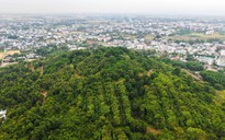 Rừng thiêng giữa phố: Rừng Thiên Bút và trầm tích ngàn năm