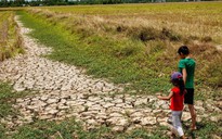 Tin tức đặc biệt trên báo in Thanh Niên 16.6.2026