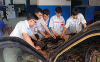 25 năm Trường cao đẳng Đại Việt Đà Nẵng: Hành trình đồng hành tri thức - Vững bước tương lai