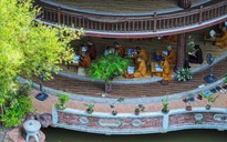 Rừng thiêng giữa phố: Rừng thiền Vạn Tùng Sơn
