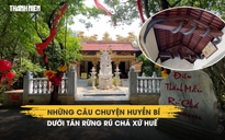 Những câu chuyện huyền bí dưới tán rừng Rú Chá xứ Huế