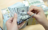 Giá USD hôm nay 23.6.2026: Đô tự do giữ đà tăng