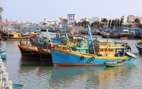 Lâm Đồng mở cao điểm siết IUU, chặn tàu cá vi phạm ngay từ trong bờ