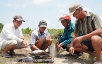 Cá chết hàng loạt: Người dân chưa chấp nhận mức hỗ trợ từ đơn vị thi công