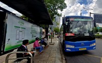 Đi xe buýt miễn phí ở TP.HCM: Hành khách bị mời xuống xe vì điều này...