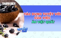 Điều tuyệt vời của việc ăn quả việt quất mỗi ngày