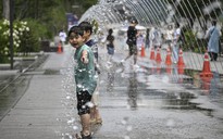 Nắng nóng nguy hiểm, Hàn Quốc khuyến cáo dừng hoạt động ngoài trời