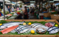 Bổ sung dầu cá omega-3: Uống bao lâu, trước hay sau bữa ăn?