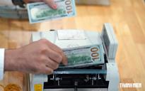 Tỷ giá ổn định bất chấp nhập siêu