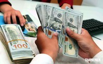 Giá USD hôm nay 15.7.2026: Đi ngang khi euro, bảng Anh đồng loạt tăng