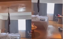 Vì sao chỉ treo cái áo vào chỗ này, một khách phải bồi thường 600 triệu đồng?