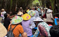 Tắc xuồng ba lá ở cồn Thới Sơn