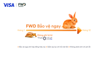 FWD hợp tác Visa mang giải pháp trả góp phí bảo hiểm linh hoạt tại Việt Nam