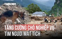 Huy động chó nghiệp vụ tìm kiếm nạn nhân mất tích tại Lai Châu