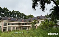 TP.HCM: Từ trụ sở bỏ hoang thành trường học khang trang, bộ đội tặng cây hoa kiểng