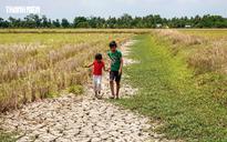 Bảo vệ vựa lúa miền Tây trước 'siêu El Nino' thế nào?